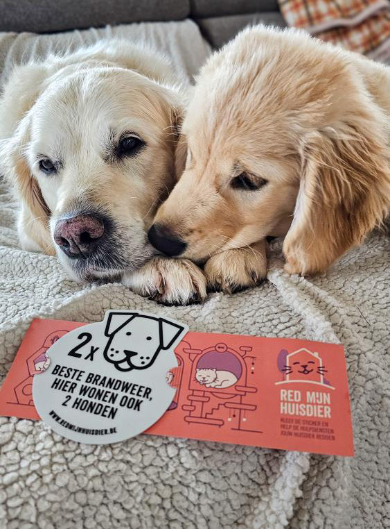 TWEE HONDEN
