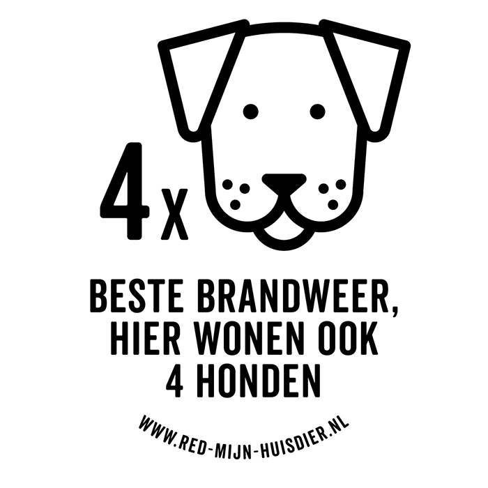 VIER HONDEN