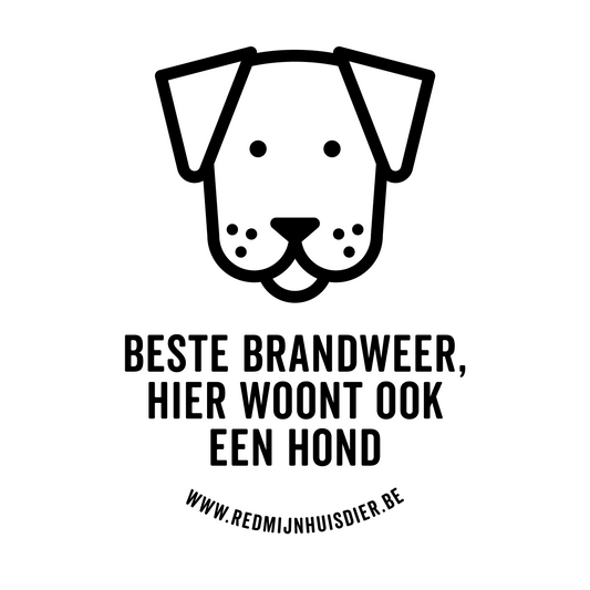 EEN HOND