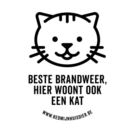 EEN KAT