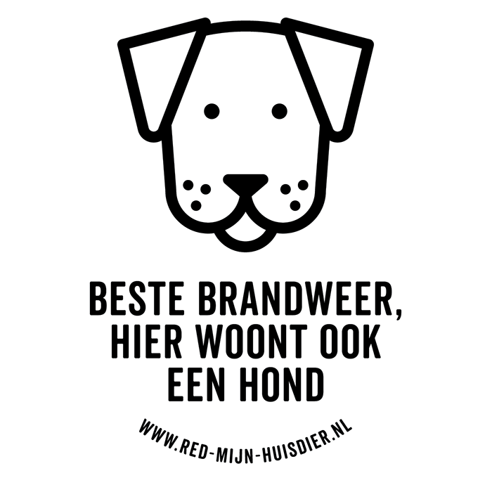 EEN HOND