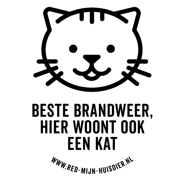 EEN KAT