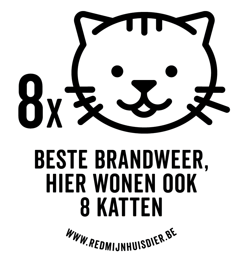 ACHT KATTEN