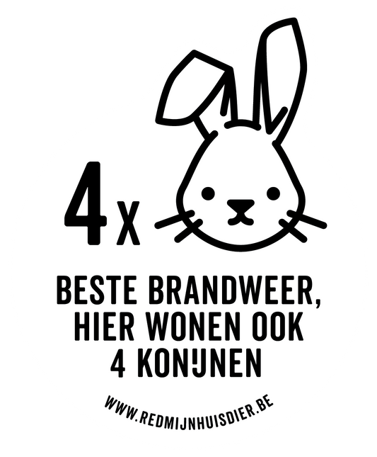 VIER KONIJNEN