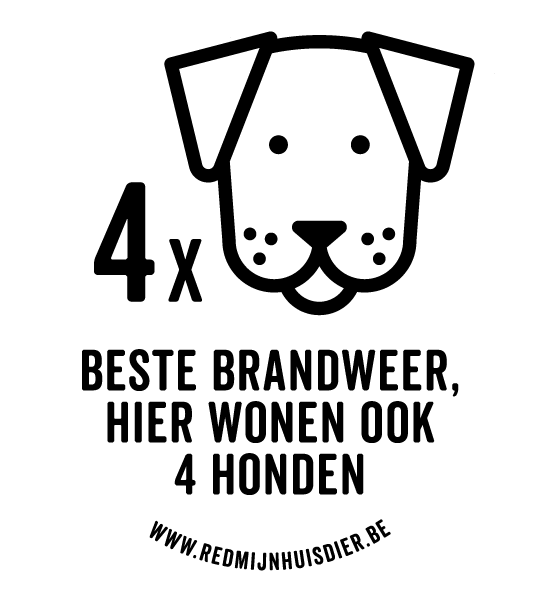 VIER HONDEN