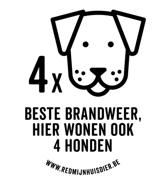 VIER HONDEN