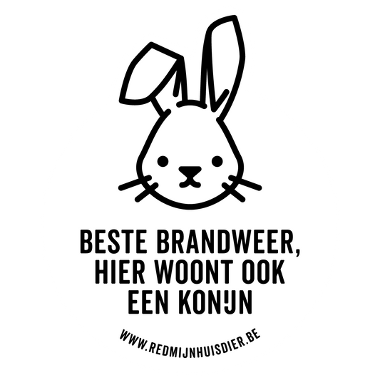 EEN KONIJN