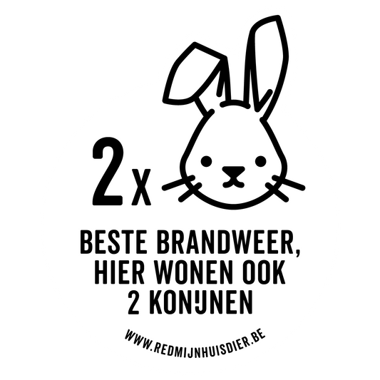 TWEE KONIJNEN
