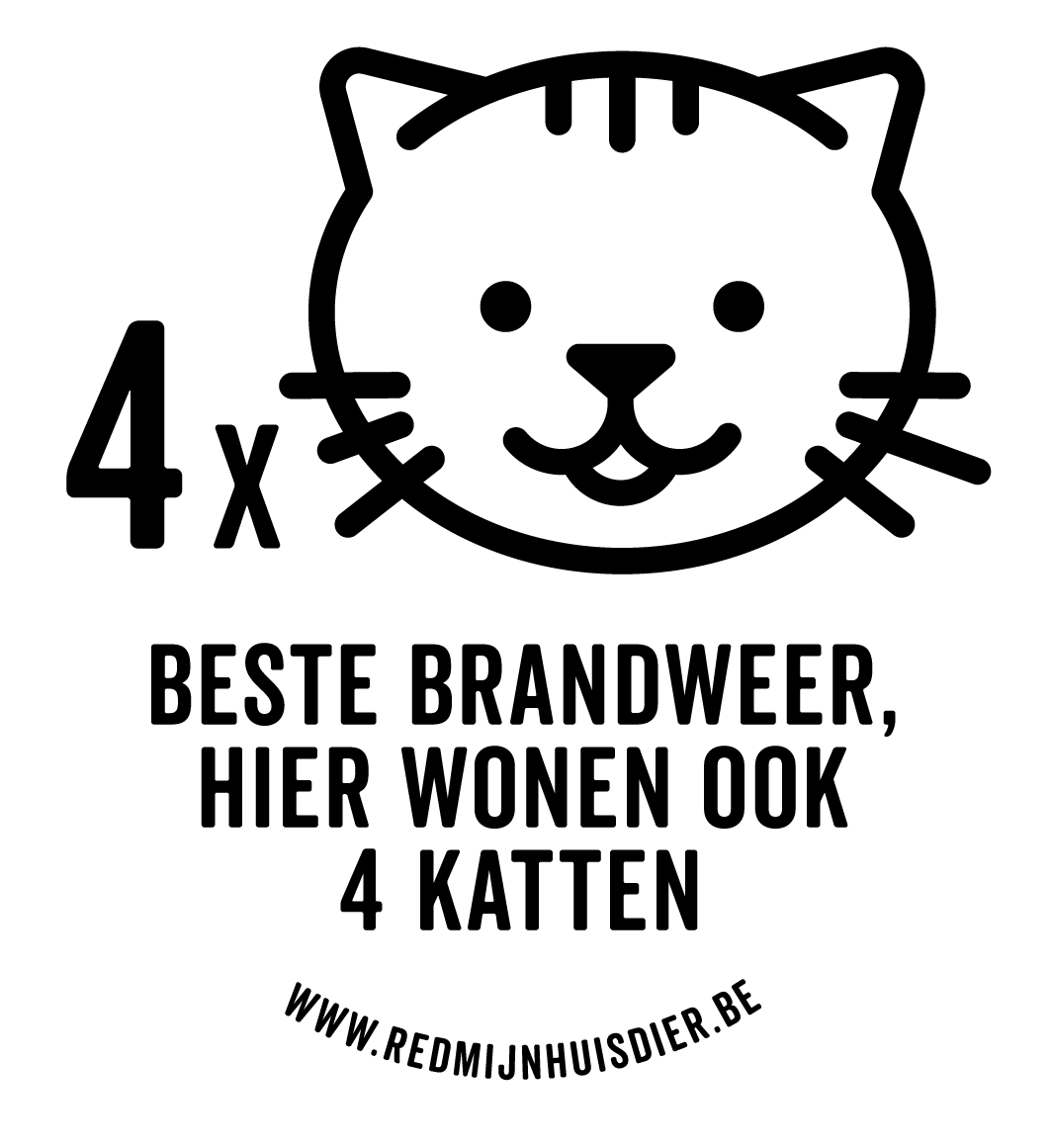 VIER KATTEN