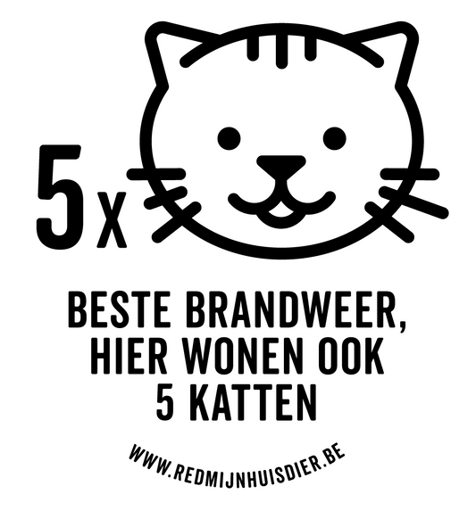 VIJF KATTEN