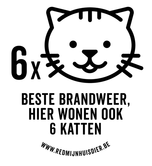 ZES KATTEN