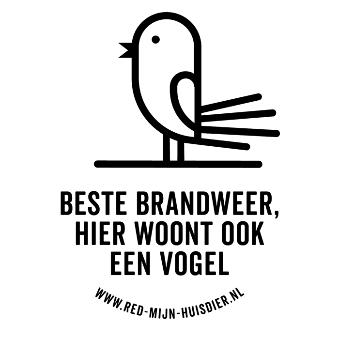 EEN VOGEL