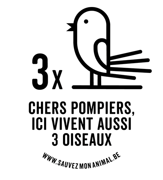 TROIS OISEAUX